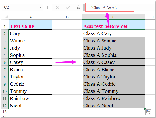 Microsoft Excel How To Add Text To Multiple Cells