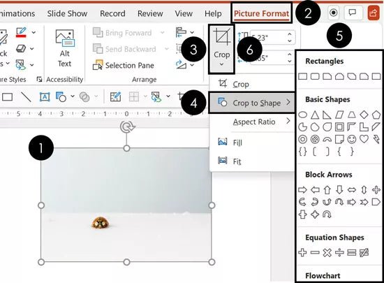 how-to-make-picture-circle-in-powerpoint