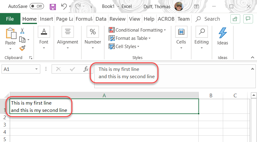 how-to-put-multiple-lines-in-excel-cell