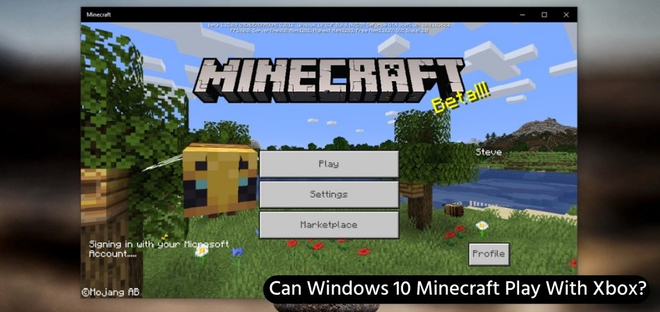 Can Windows 10 Minecraft Play With Xbox? - keysdirect.us