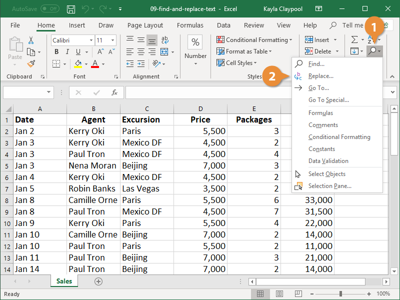 How to Use Find and Replace in Excel?