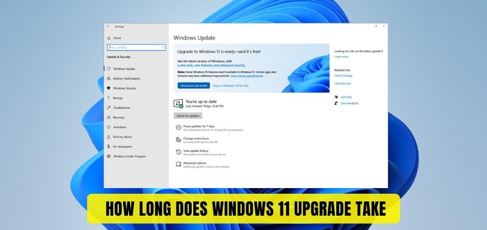 How Long Does Windows 11 Upgrade Take? - keysdirect.us