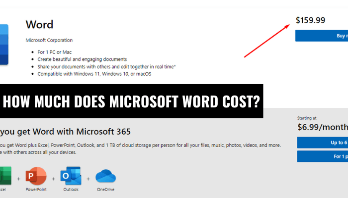 How Much Does Microsoft Word Cost? - keysdirect.us