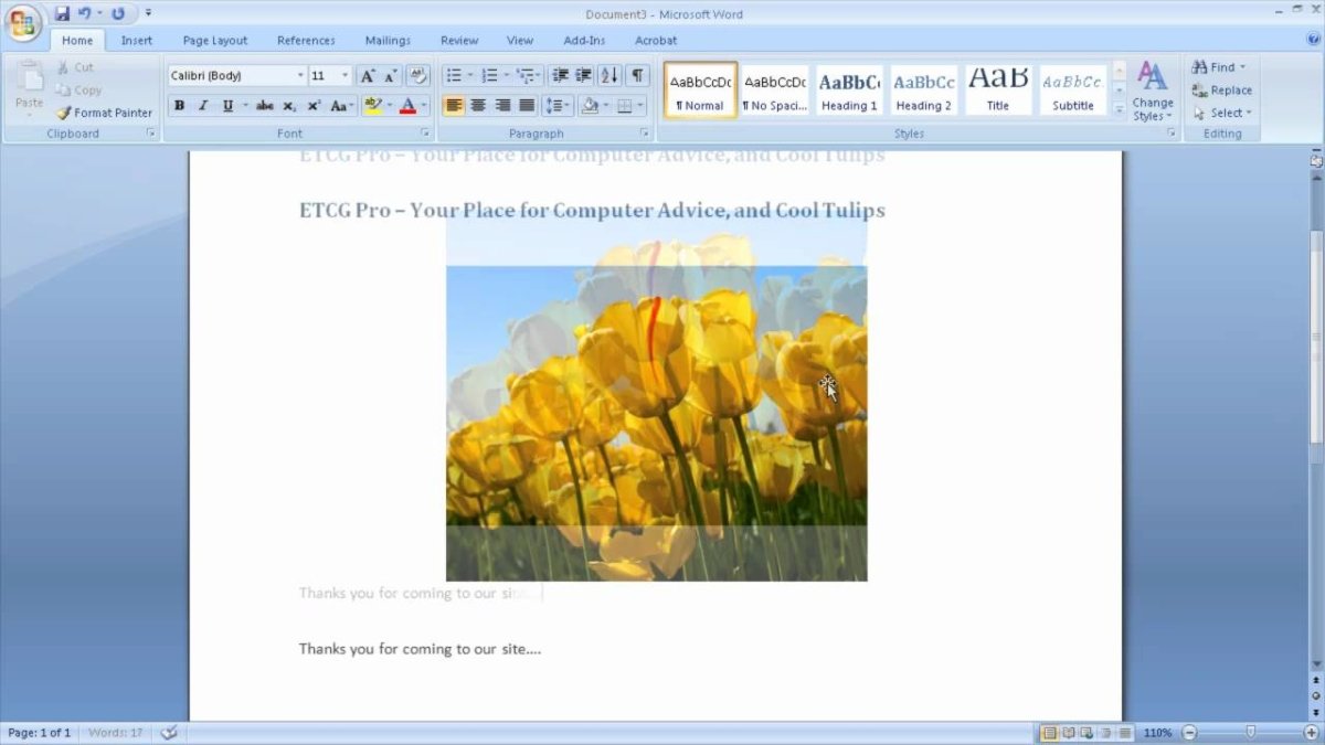 How to Create a Website Using Microsoft Word? - keysdirect.us