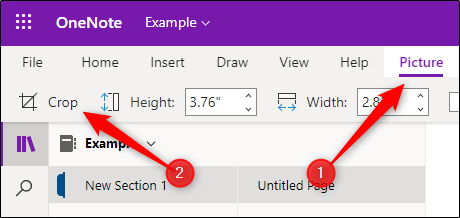 How to Crop in Onenote? - keysdirect.us