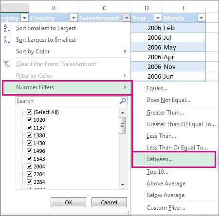 How to Filter Out Data in Excel? - keysdirect.us
