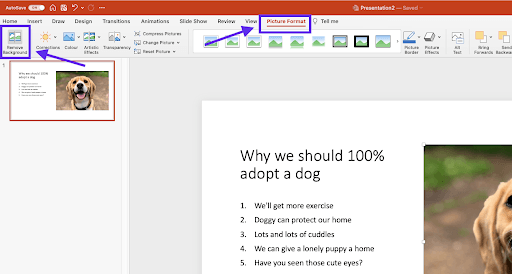 How to Remove Background Picture in Powerpoint? - keysdirect.us