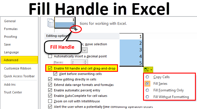 How to Use the Fill Handle in Excel? - keysdirect.us