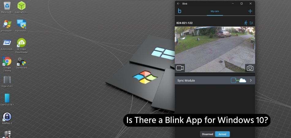 Is There a Blink App for Windows 10? - keysdirect.us