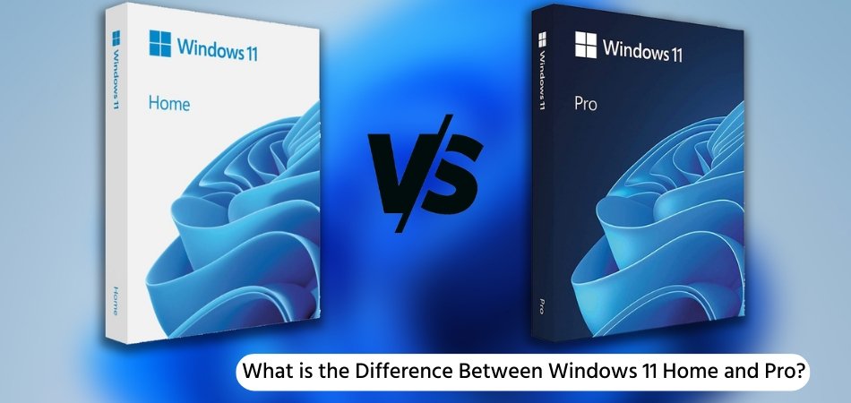 What is the Difference Between Windows 11 Home and Pro? - keysdirect.us