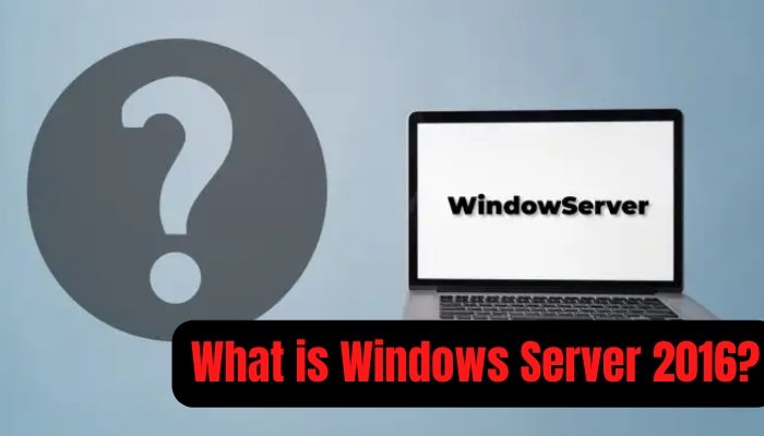 What is Window Server in Activity Monitor? - keysdirect.us