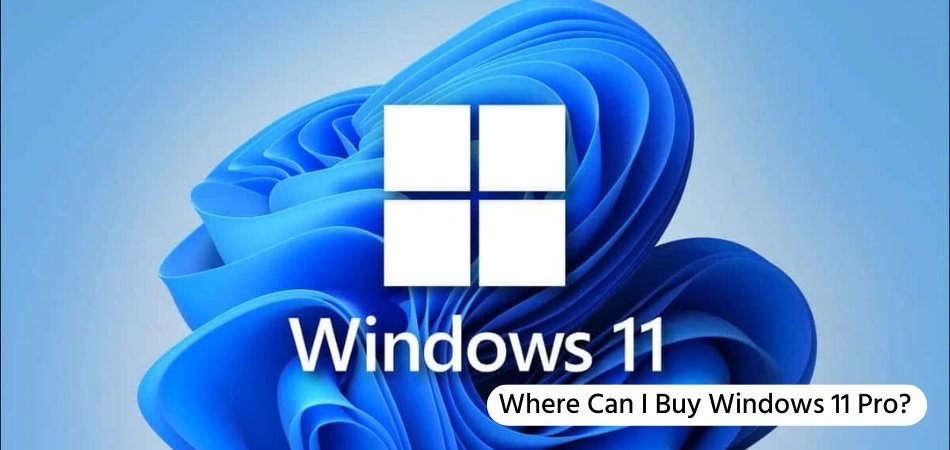 Where Can I Buy Windows 11 Pro? - keysdirect.us