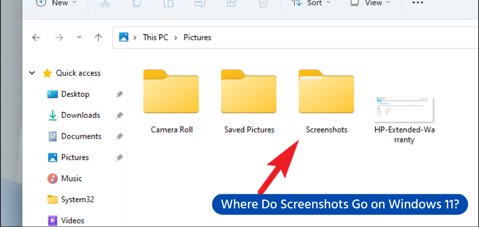 Where Do Screenshots Go on Windows 11? - keysdirect.us