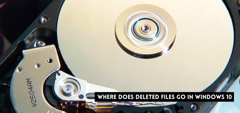 Where Does Deleted Files Go in Windows 10? - keysdirect.us