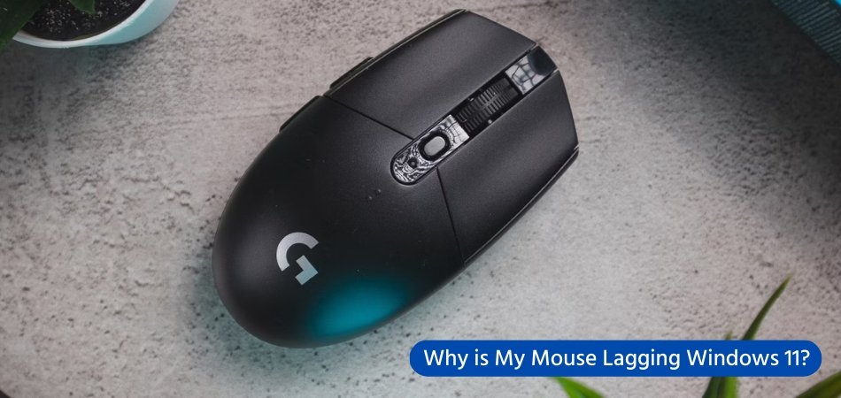 Why is My Mouse Lagging Windows 11? - keysdirect.us