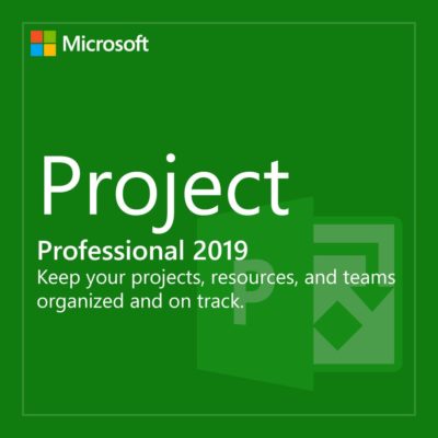 Microsoft Project Professional 2019 Product Key - keysdirect.us