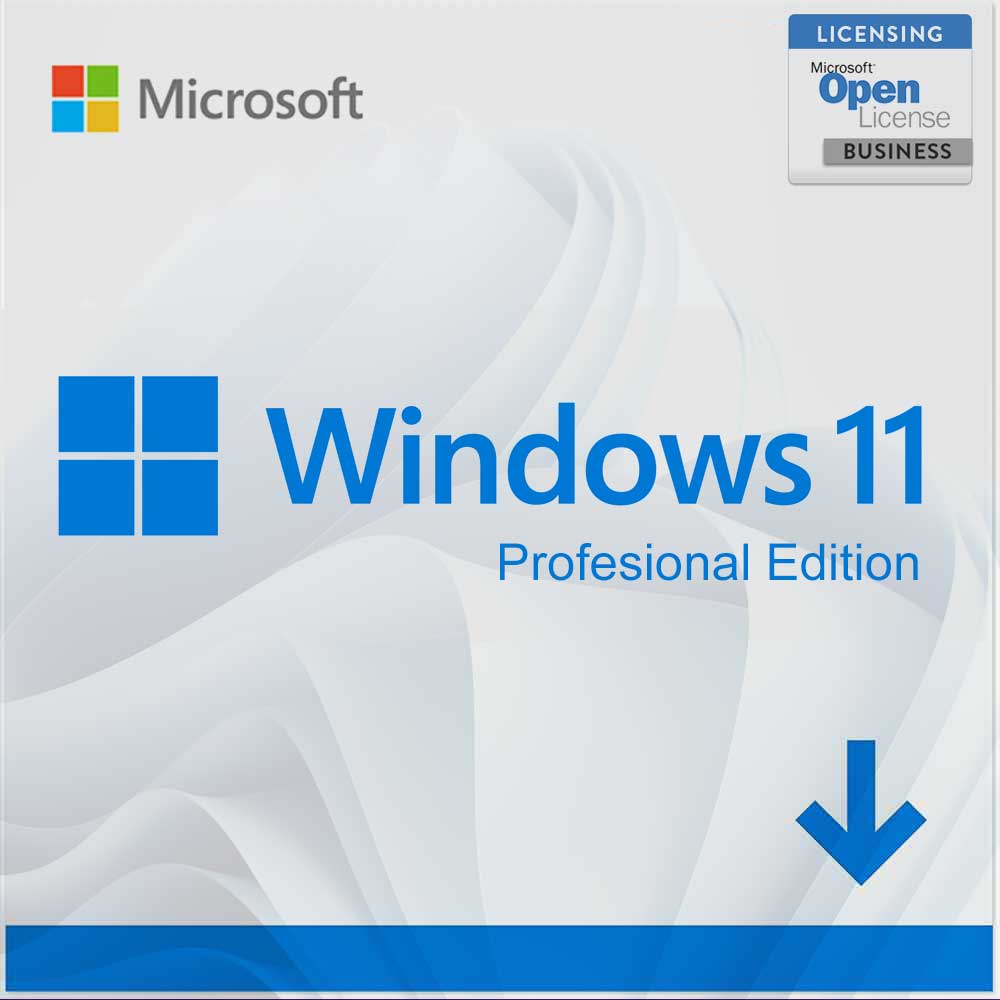 Windows 11 Professional Pro Product key license - keysdirect.us